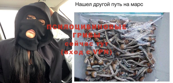 spice Михайловск