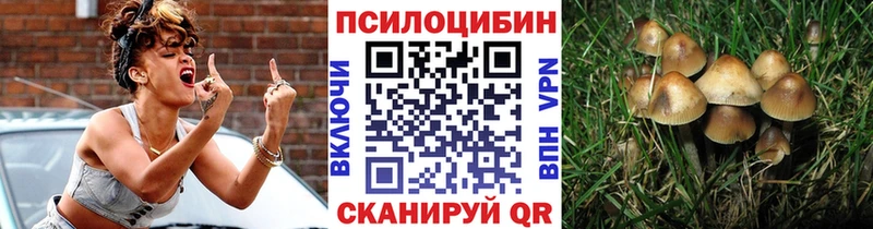Псилоцибиновые грибы Magic Shrooms где купить наркотик Горячеводский